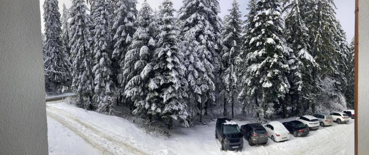 Borovets Gardens Apartment A20 Eksteriør bilde